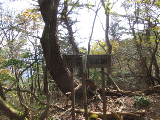 政所道藤川谷道分岐（南）